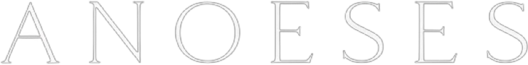Anoeses logo